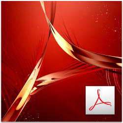 Adobe Acrobat DC Pro for Teams (2020) MULTI Win./Mac – licencja rządowa