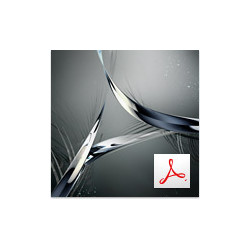 Adobe Acrobat DC Standard for Teams (2020) ENG Win. – licencja rządowa