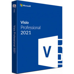 Microsoft Visio Professional 2021 - licencja - 1 PC